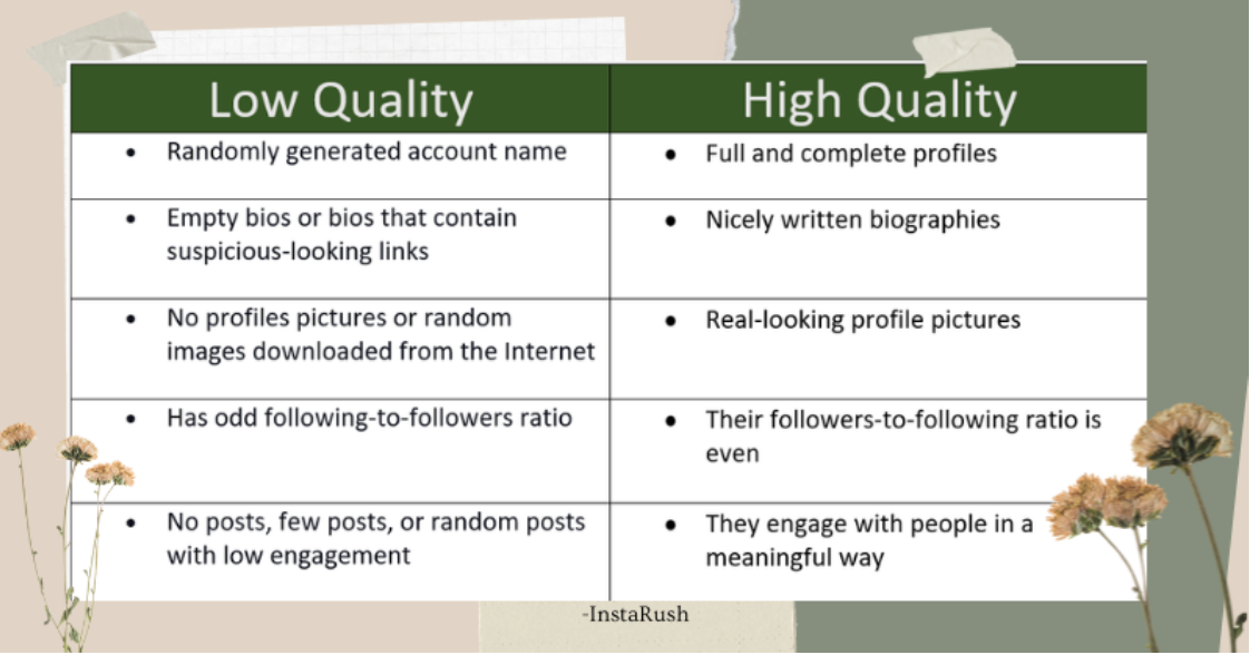 Instagram high-quality profile vs bots guide